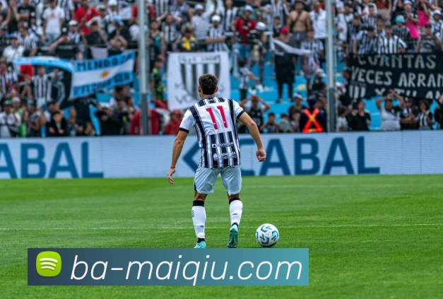 体育投注平台平台生态图